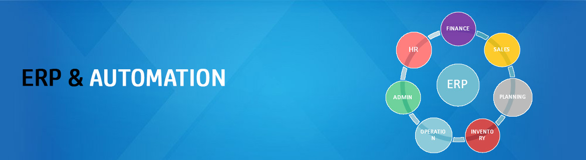Erp Automation Services